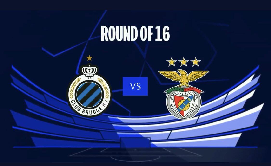 他们此前经 他们此前经